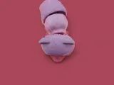Chunky Panda-2