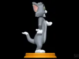 Tom - Tom and Jerry-2
