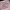 Mewtwo Pokemon card