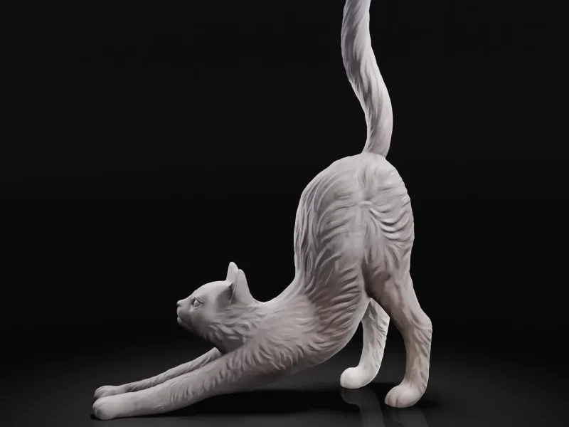 Esticar o gato