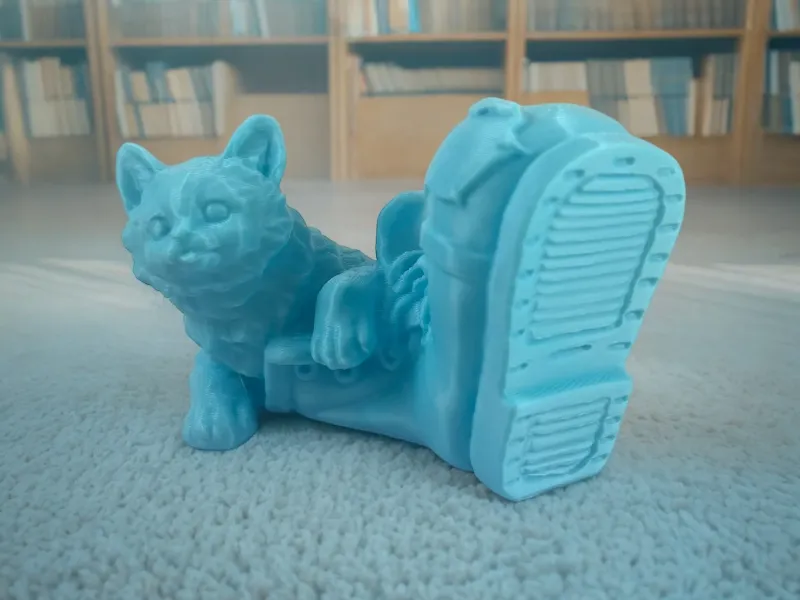Gato en una bota grande