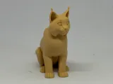 猞猁-4