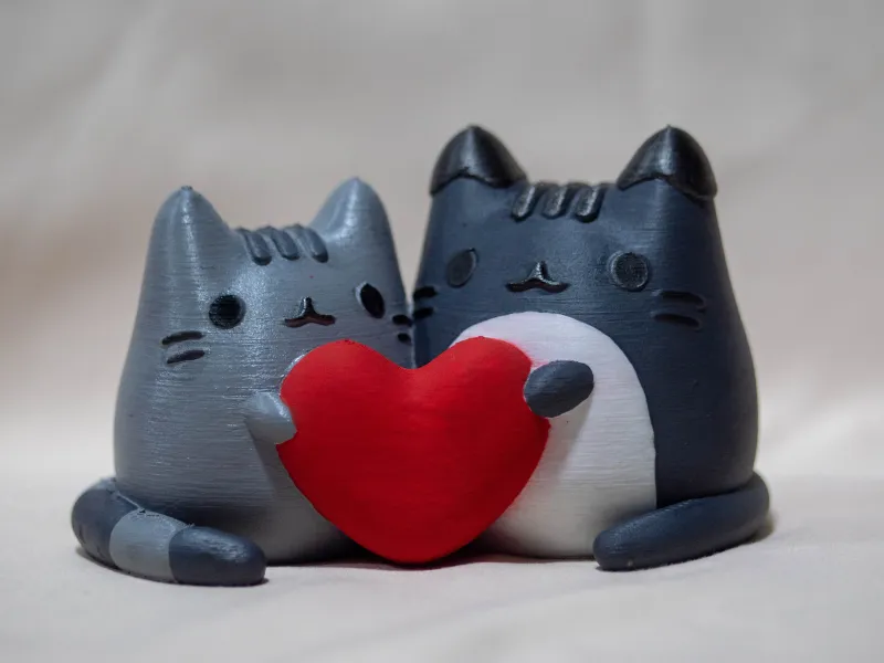 Pusheen X Tommy: a Valentine Model
