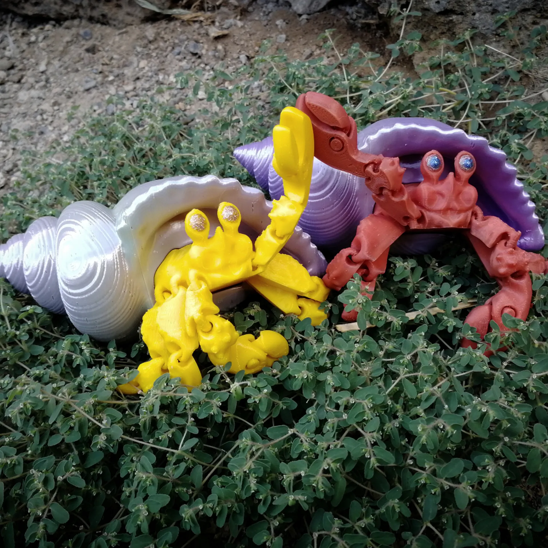 Hermit crab (cute, semi-realistic)