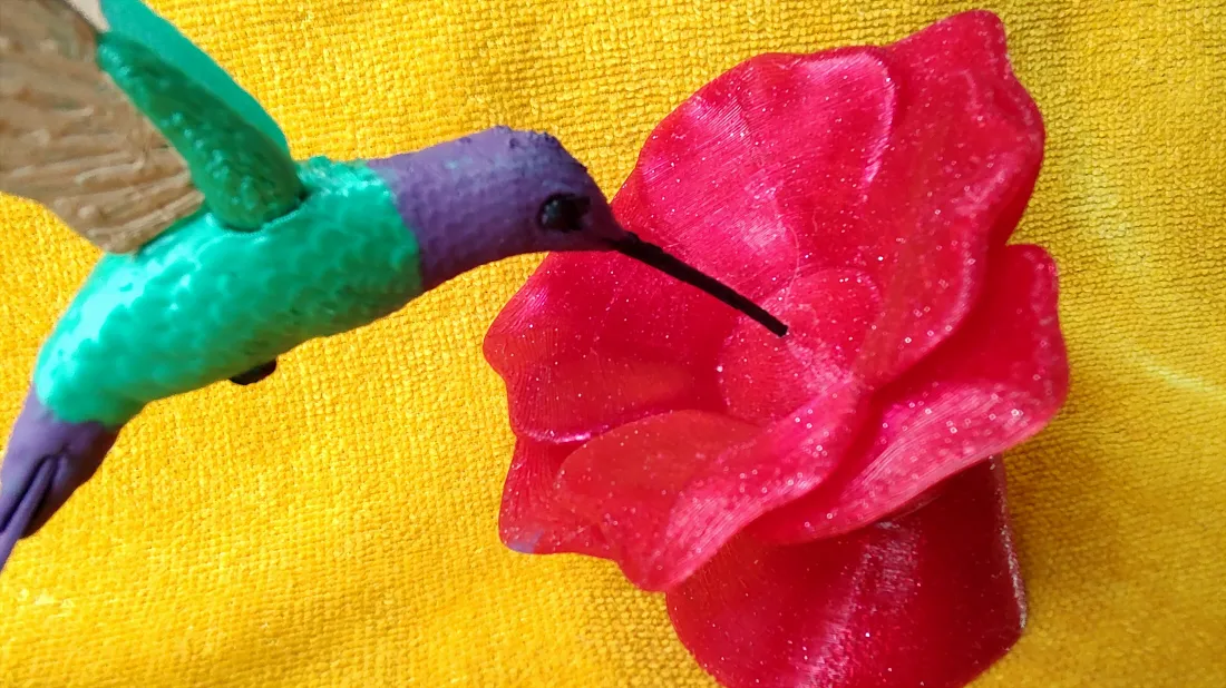 Colibrí