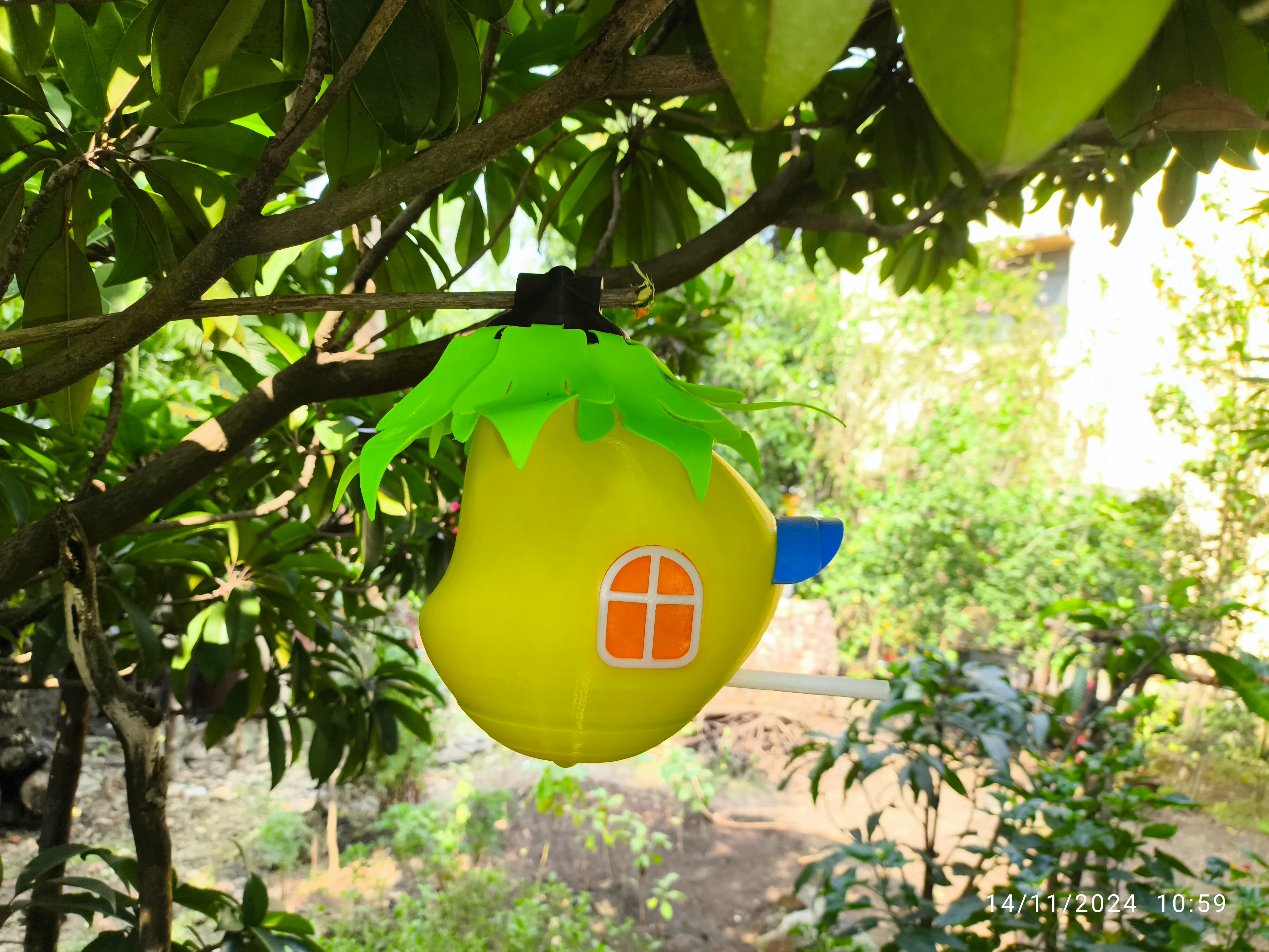 "Bird House-In Nature"