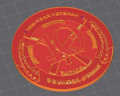 Ten Year Service Medal - CSGO