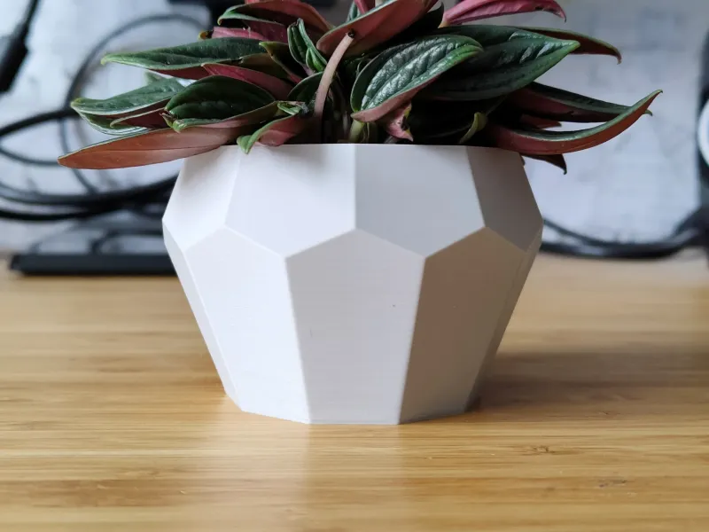 Tall Geometrical Bonsai Pot and Planter - Vase mode