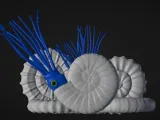 Ammonite - amonoids - three different-6