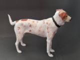 Pointer/American Foxhound-3