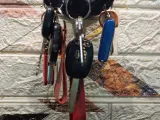Dragon Claw Key Mount-4