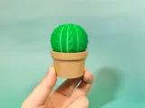 Cactus Storage Box-1