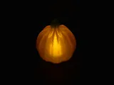Zucca per lumino-4