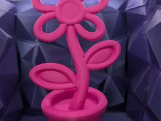 Spryra Bloom Object 