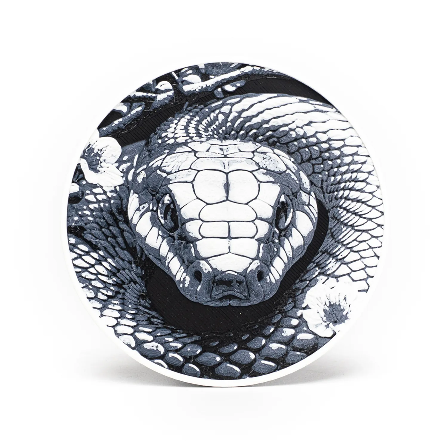 Snake Coasters