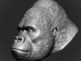 gorilla head-0