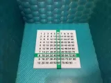 Starting Multiplication for Kids-0