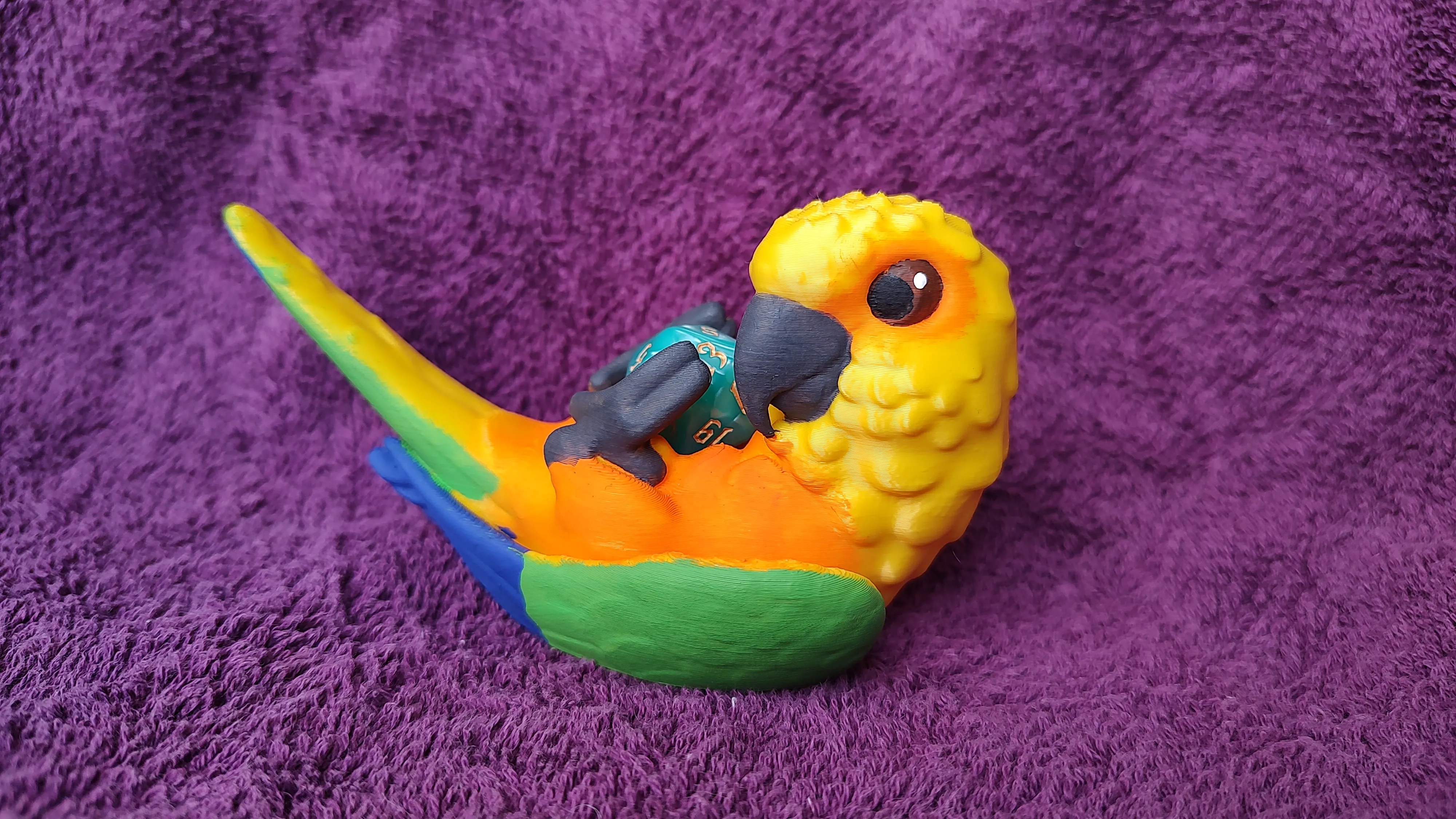 Conure Dice Guardian