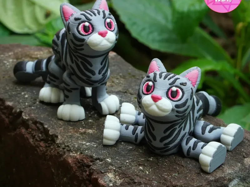 Flexi American Shorthair Cat