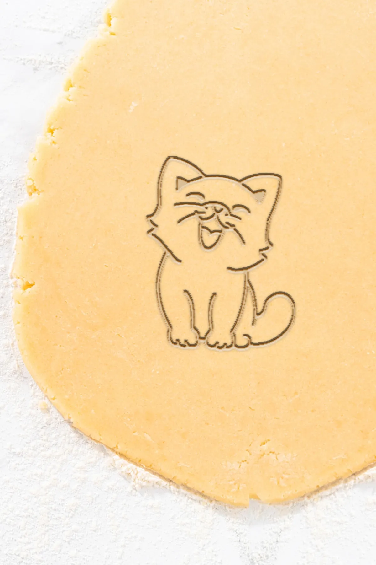 Cat Cookie Cutter, Biscuit Cutter