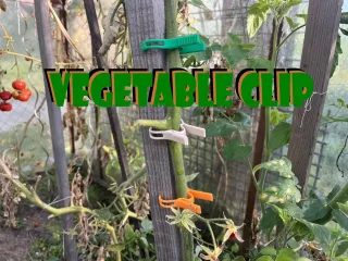 Vegetable peg