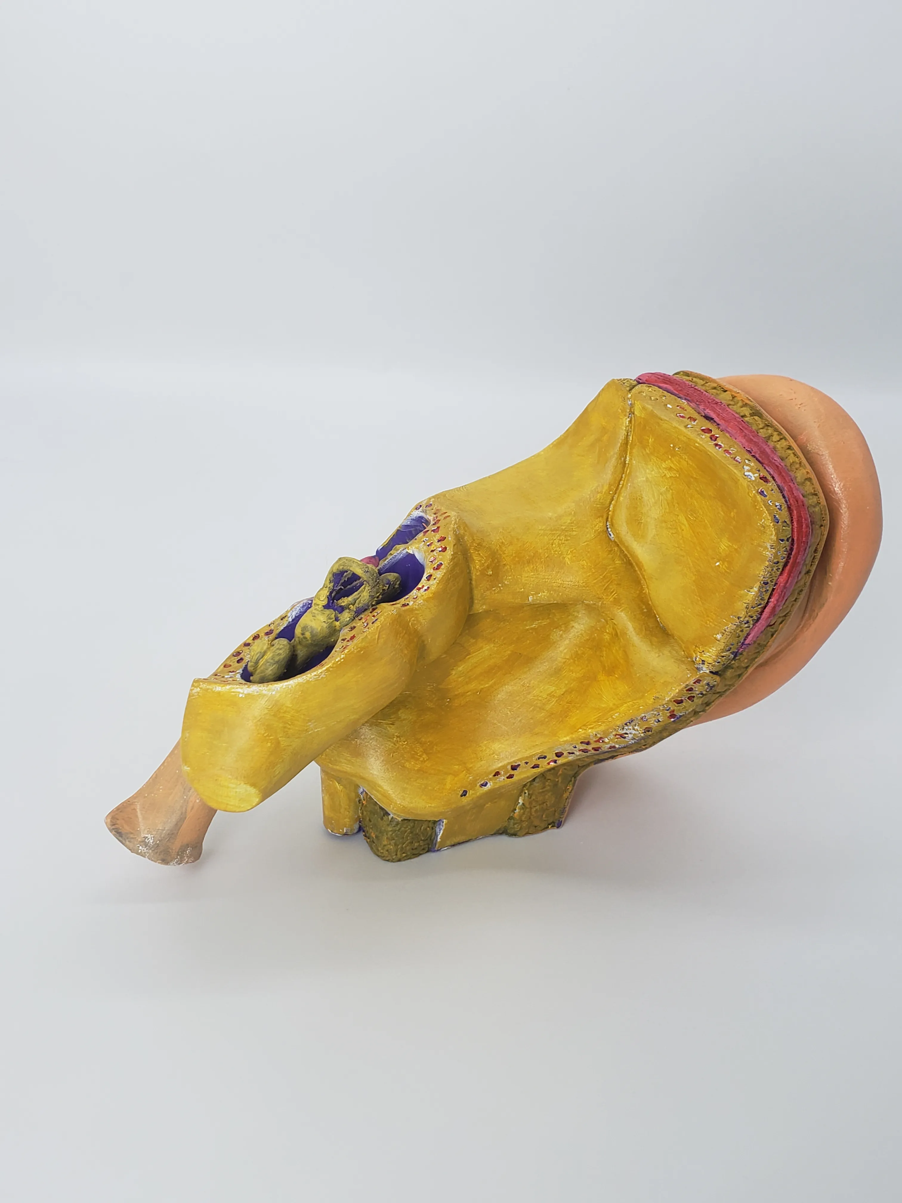 Anatomy of the Ear A Cross-Sectional 3D Print for Education