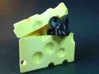 Cheese Boxed Mouse-4