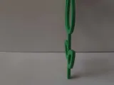 Tulipan-1