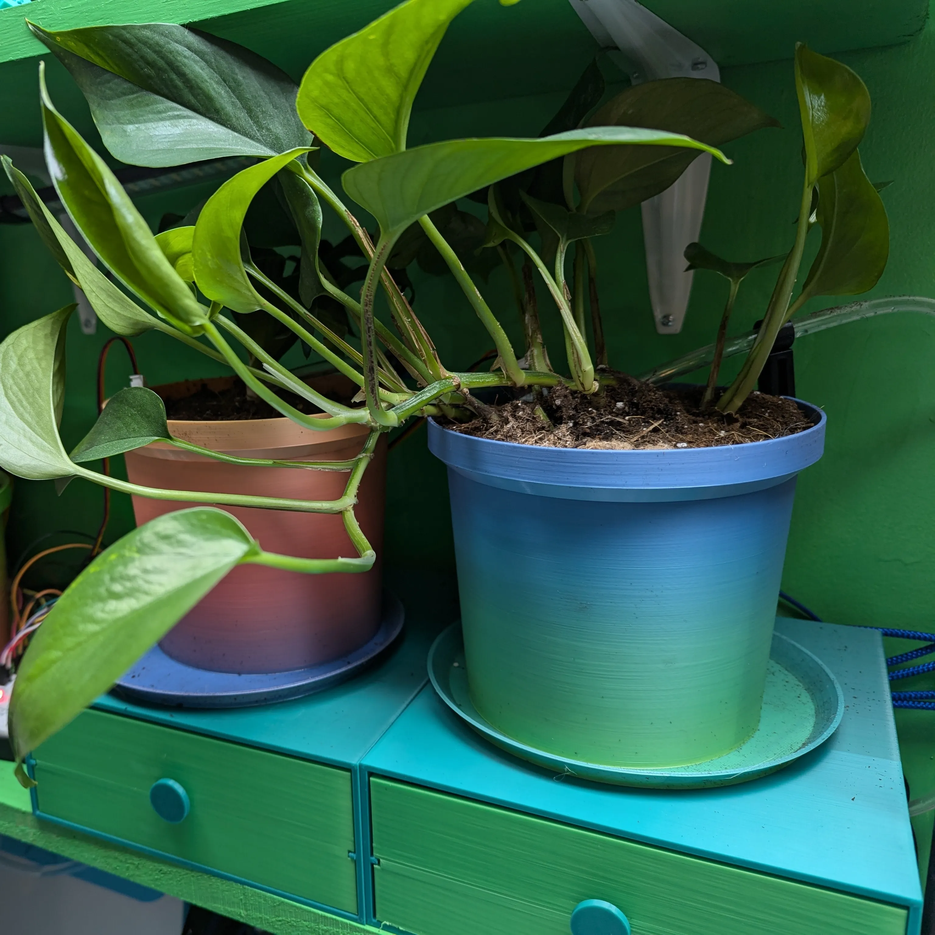Plant Pot – Stackable - 6-Inch (150mm)