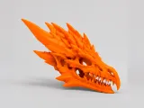 Dragon Skull Fossil | Fantasy-1