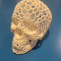 Voronoi-style Skull with no supports-1