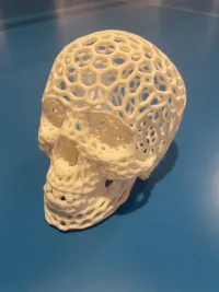 Voronoi-style Skull with no supports-1