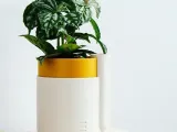 FlowerPOT-6
