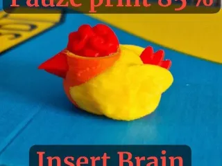 floating bath toy. \Chicken