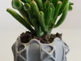 Pot Interior Decor Z-1