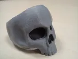 Skull ring-3