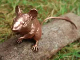 Wood Mouse-3