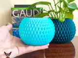 Flower Pot-2
