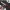 Nekomiya Mana Zenless Zone Zero ZZZ cosplay sword