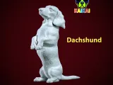 Dachshund Dog standing statue - Dachshund model - 3D print-1