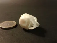 Punk skeleton-1-7
