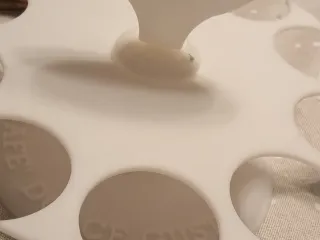 DOLCE GUSTO CAROUSEL