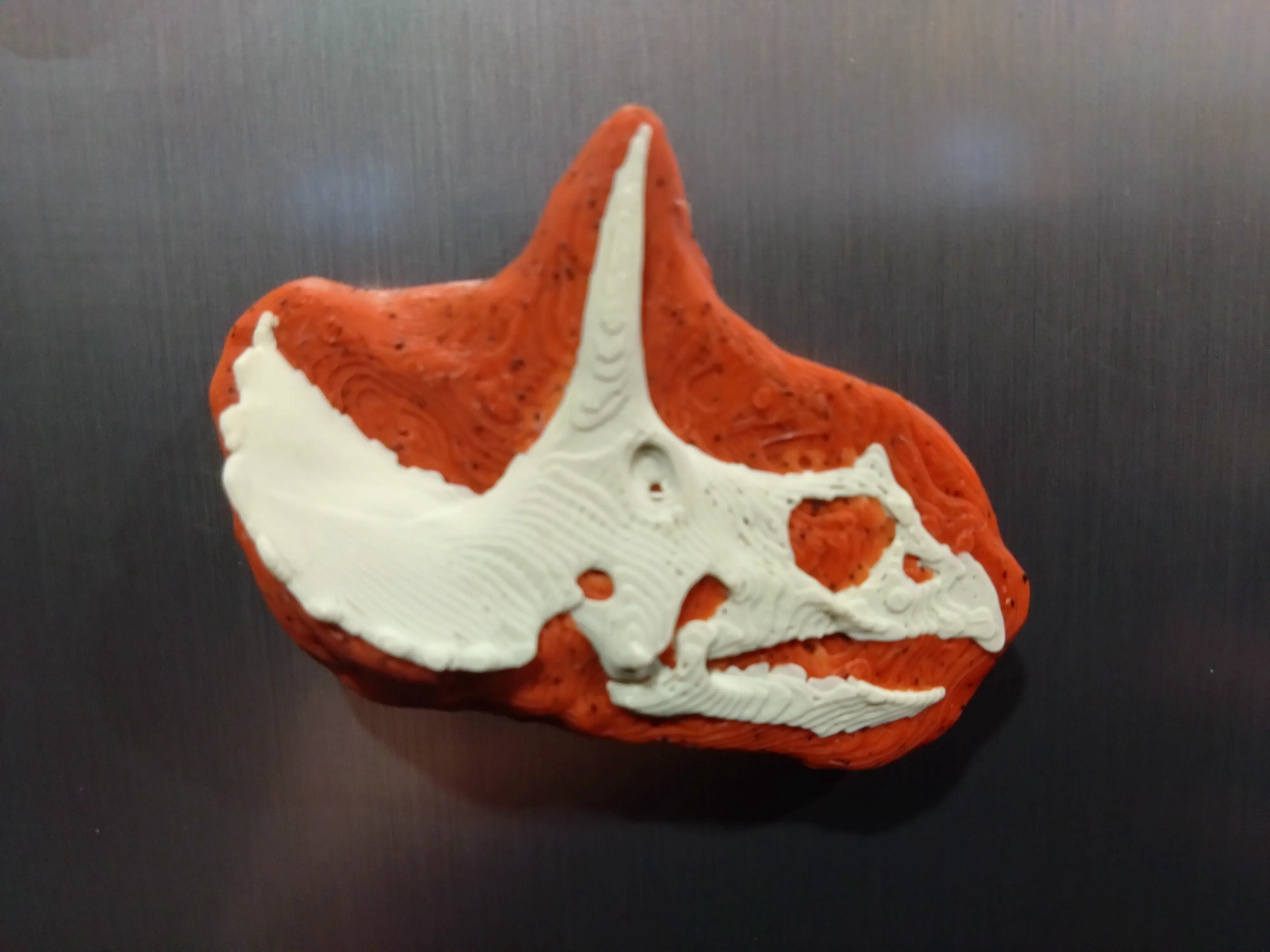 Dinosaur Fossil Skull Magnets