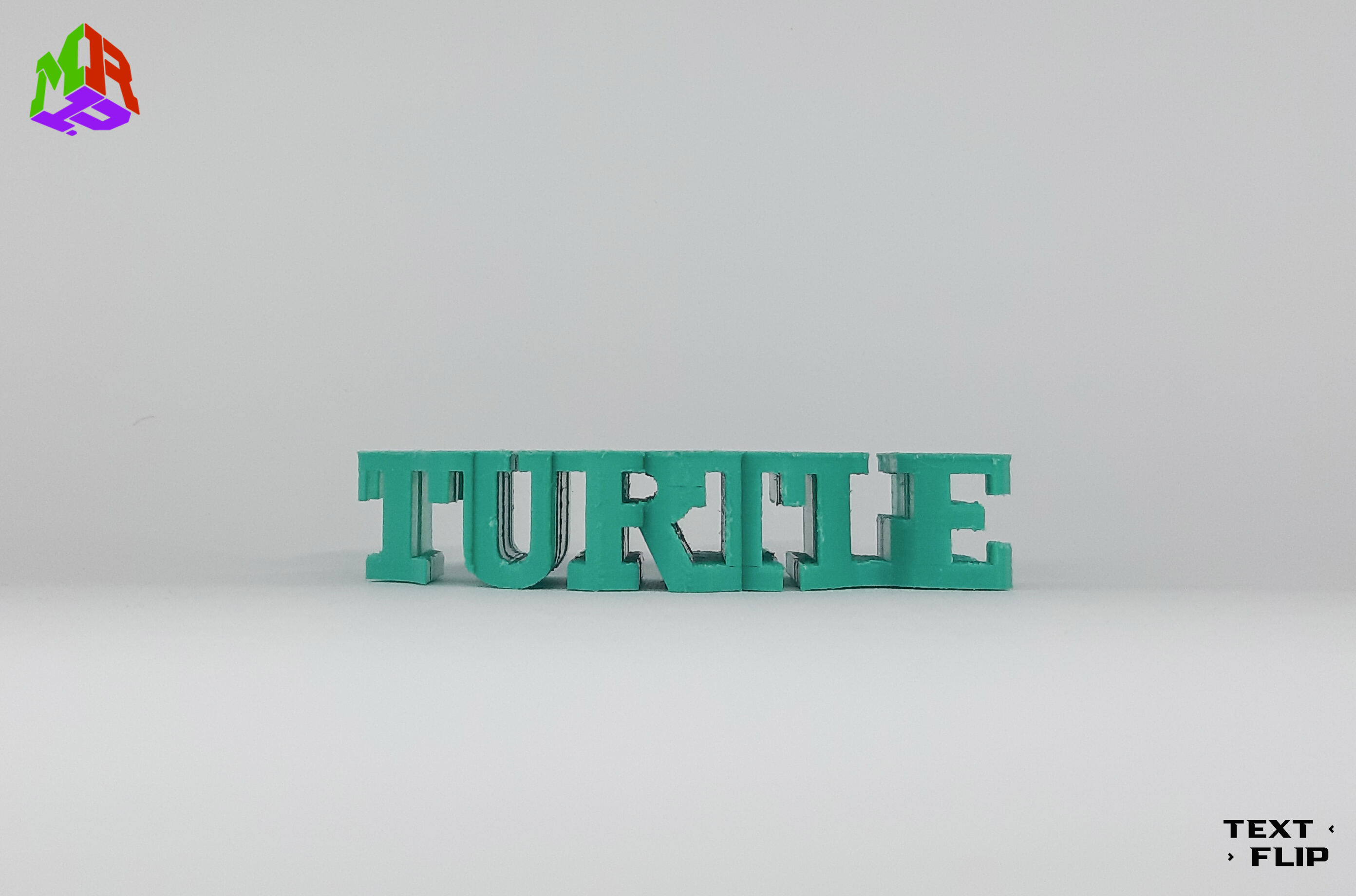 Text Flip - Turtle