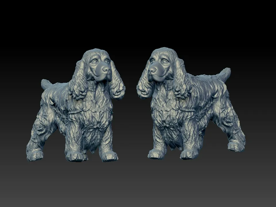 Cocker Spaniel dog - American Cocker Spaniel dog - 3D print