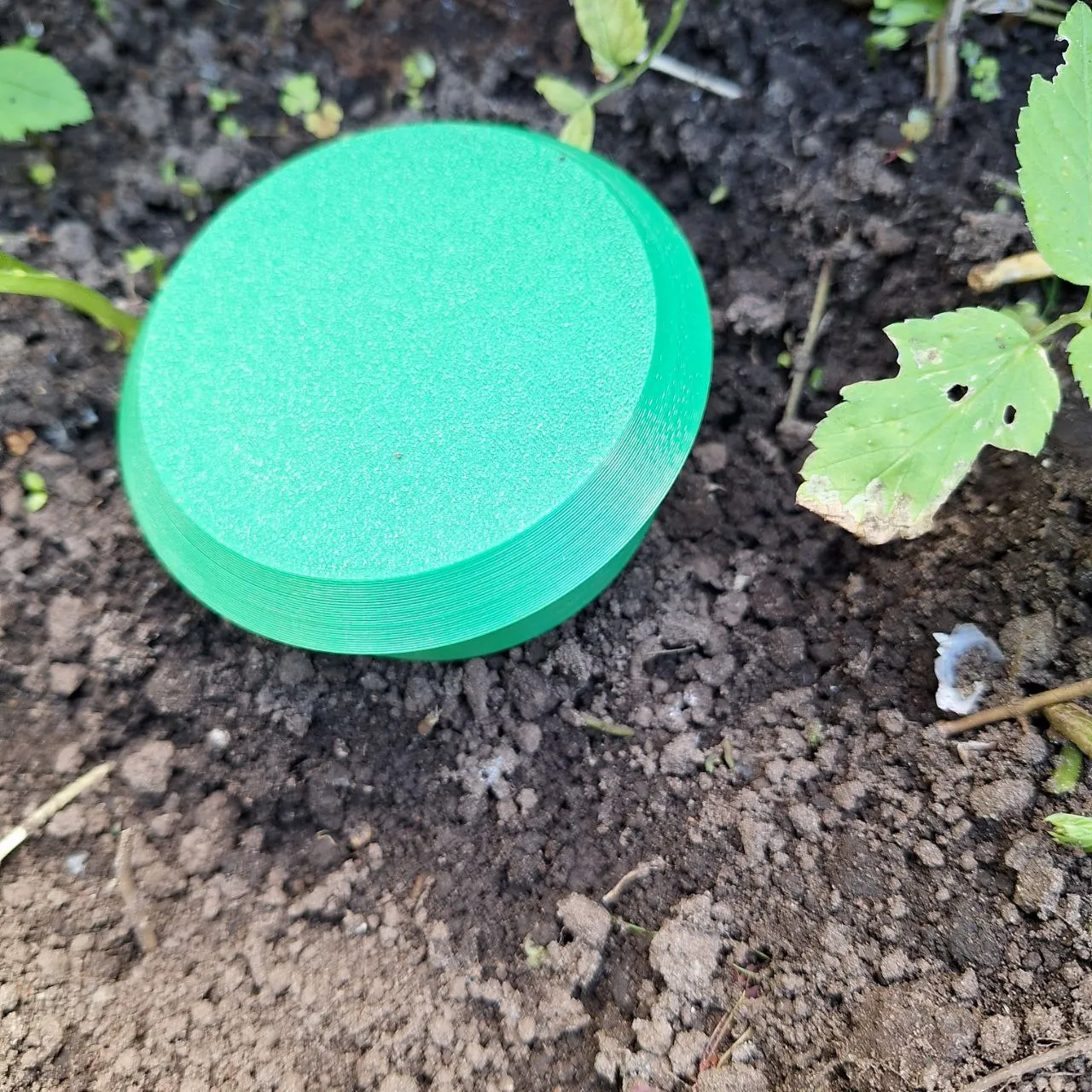Trappola per lumache e chiocciole