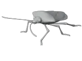 Stinkbug-0