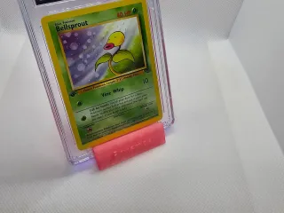 Card Display Stand
