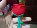 Rosa con base para San Valentin-2
