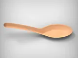 Soup Spoon-5